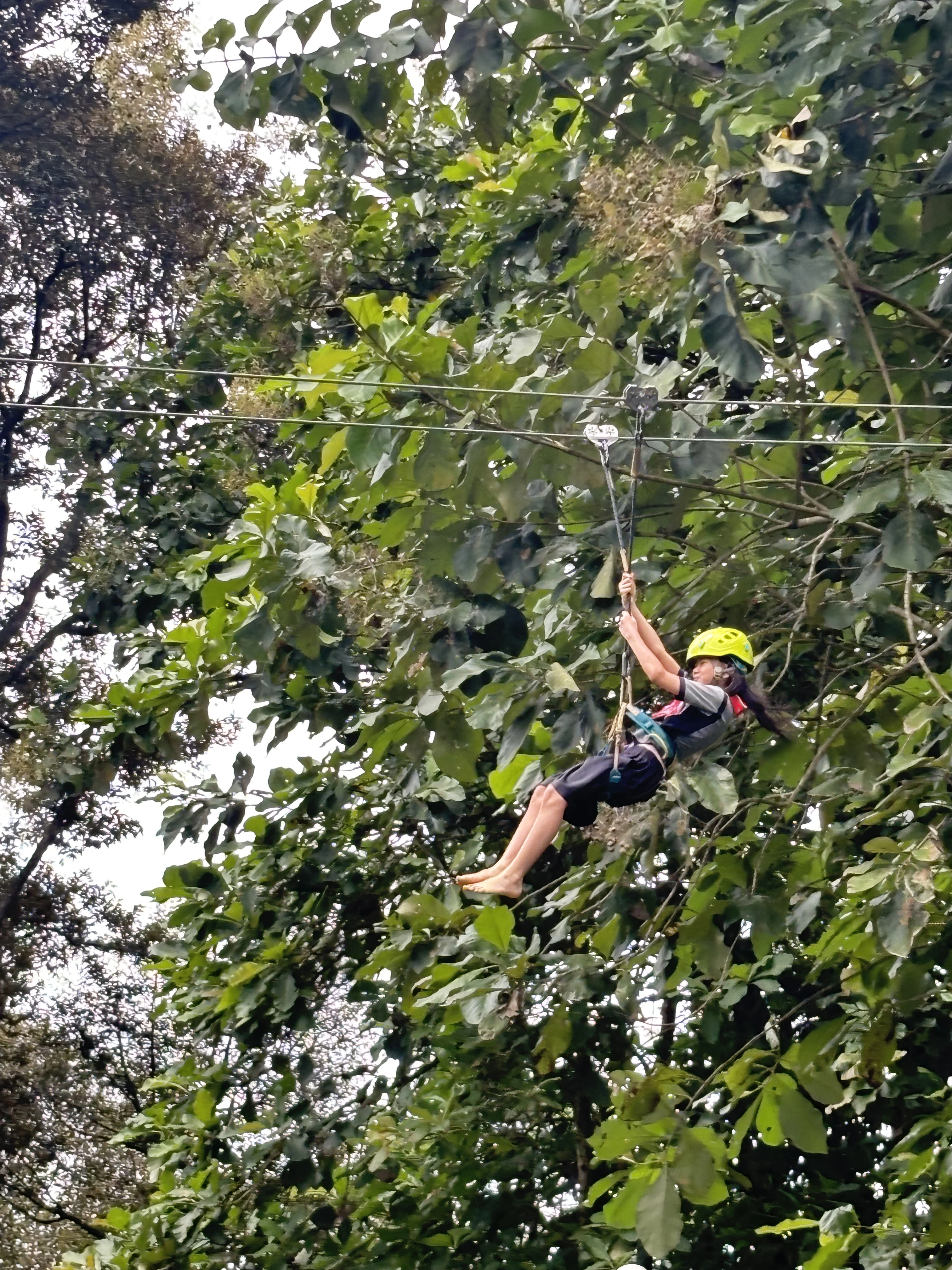 Flying Fox