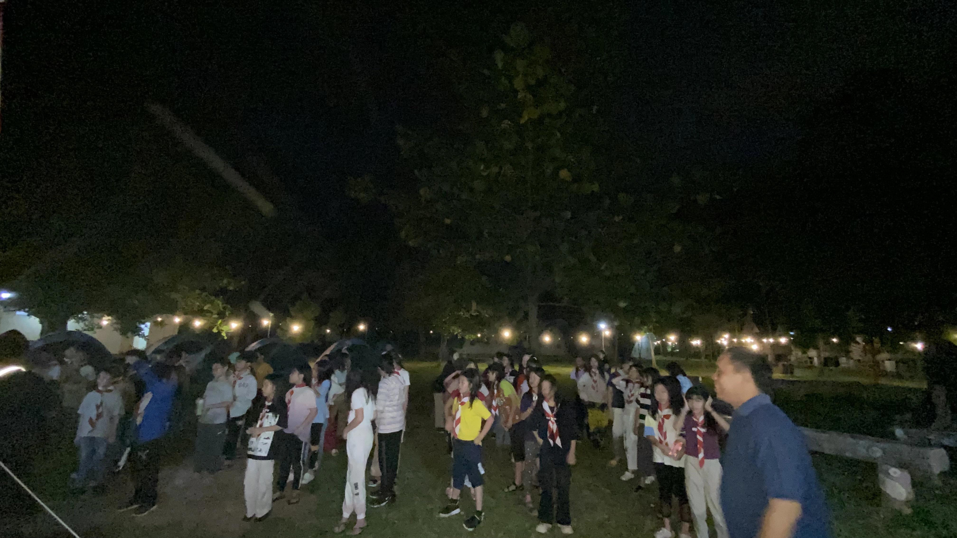 Night Gathering
